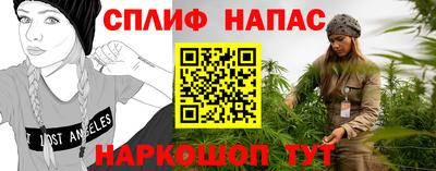 МДПВ Краснознаменск